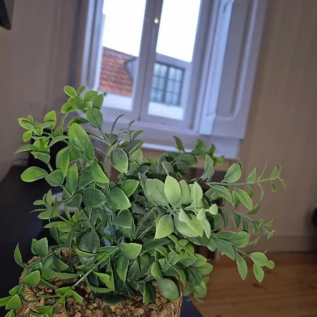 Apartament Caravelas Luxury