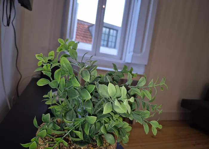 Διαμέρισμα Caravelas Luxury